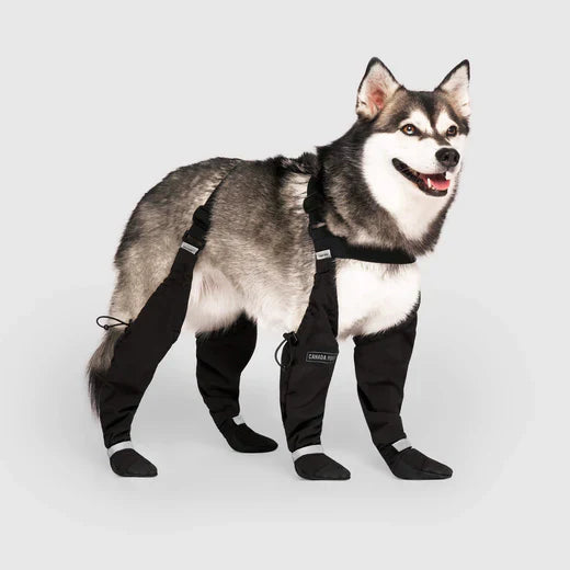 PawGuard Suspenders™