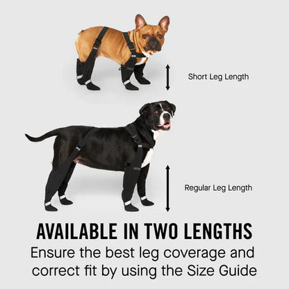 PawGuard Suspenders™