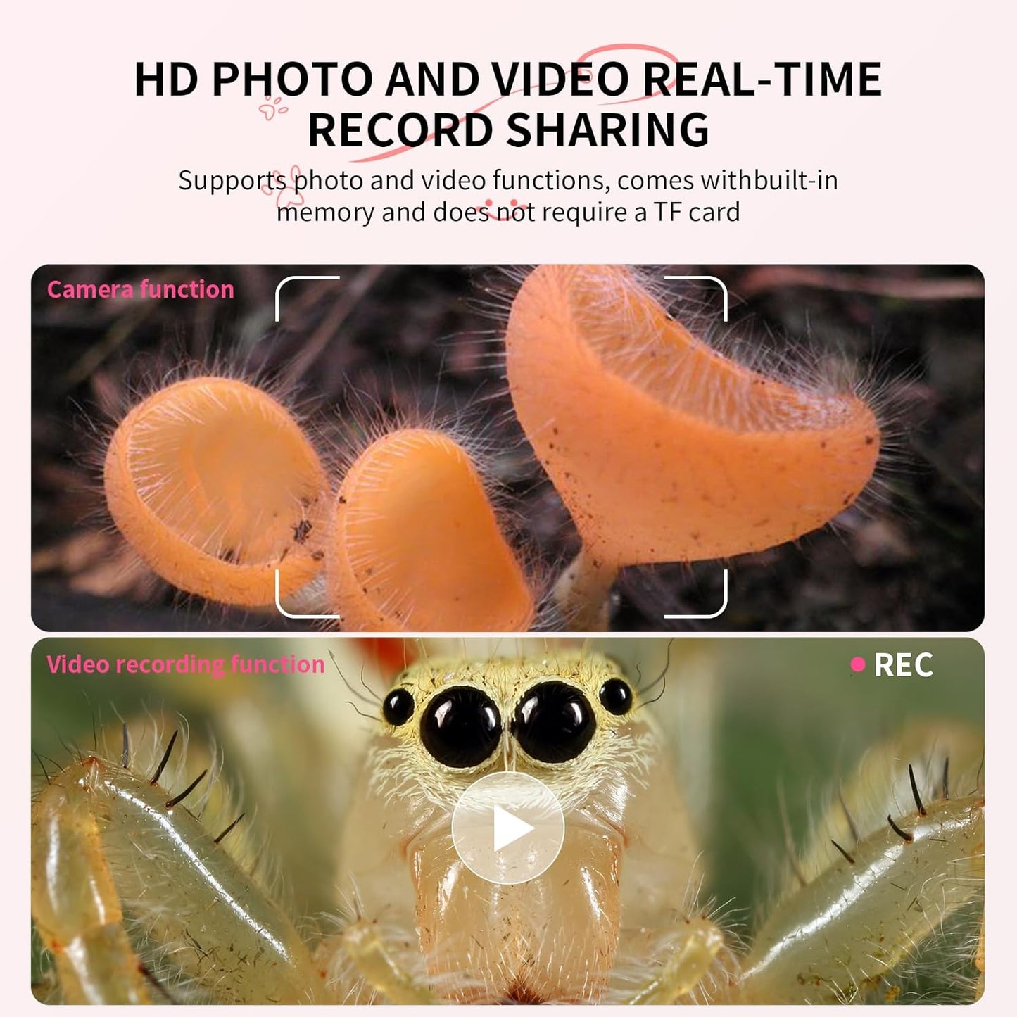 MicroExplore Pro™